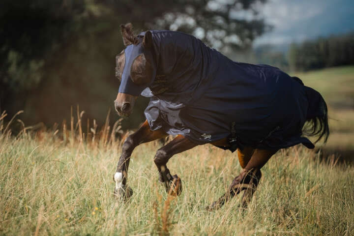 Covalliero Fliegendecke RugBe SuperFly